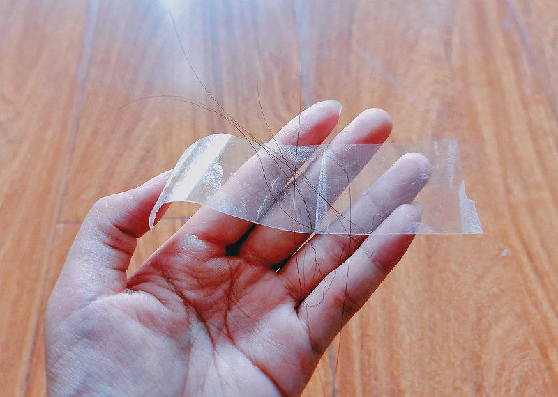 透明水蜜桃在线免费视频