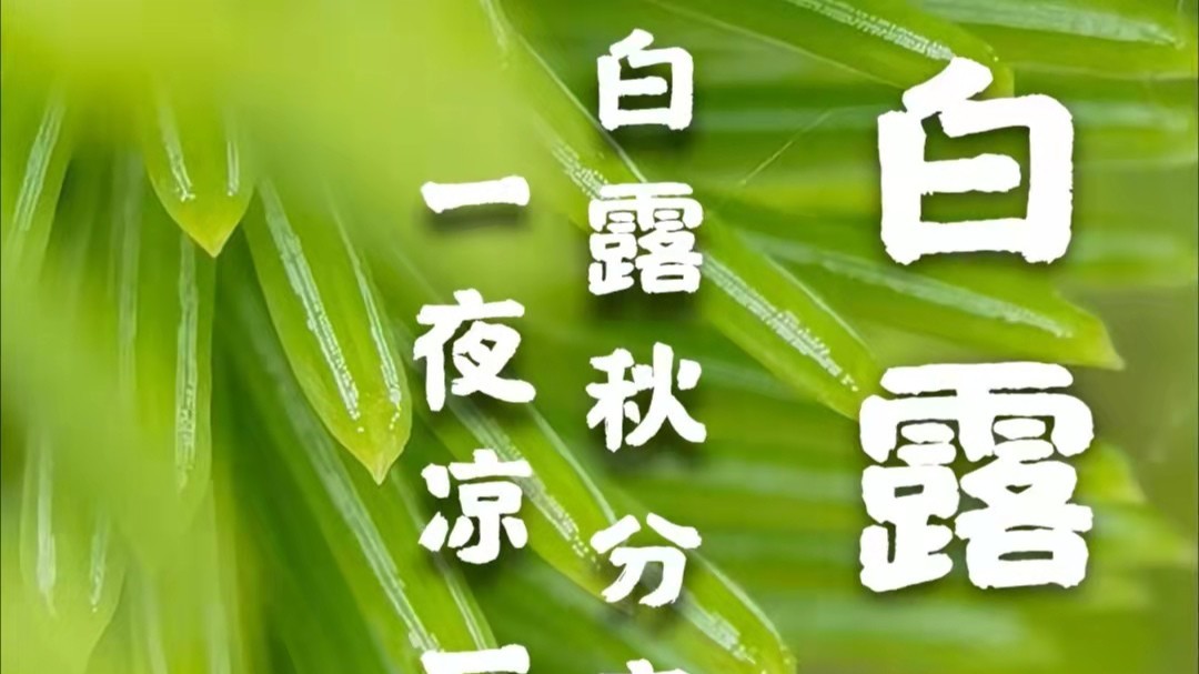 精品水蜜桃无码国产精品黄包装水蜜桃在线免费视频厂家：白露到，秋渐深