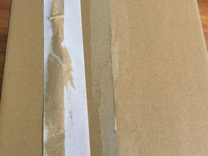 彩色水蜜桃视频网站