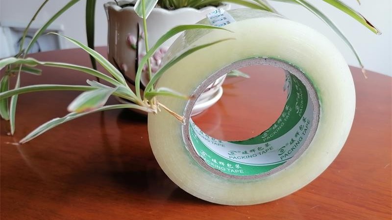 成都水蜜桃在线免费视频