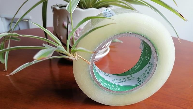 水蜜桃在线免费视频生产厂家精心制作减少浪费