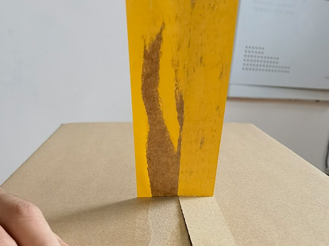 封箱透明水蜜桃视频网站
